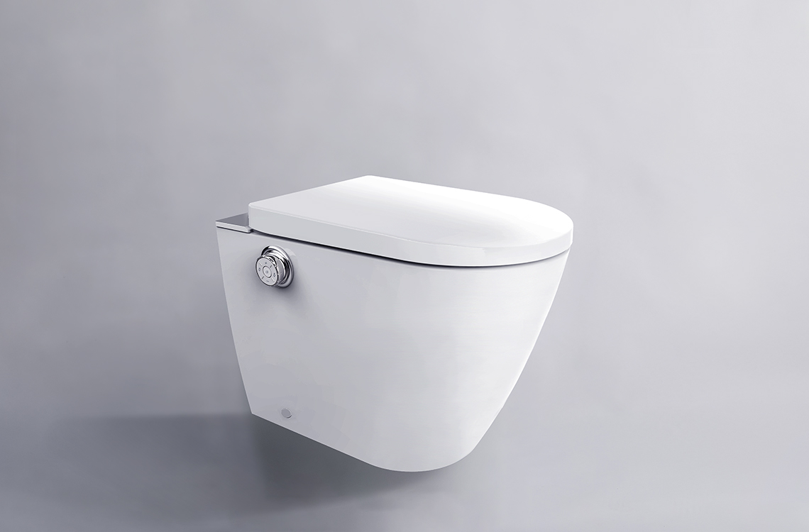 Closed Lid Toilet