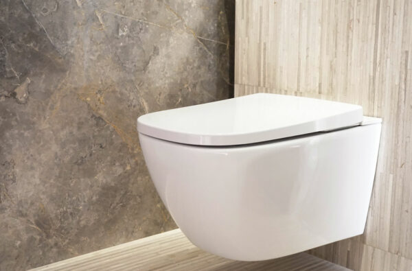 White Wall Hung Toilet