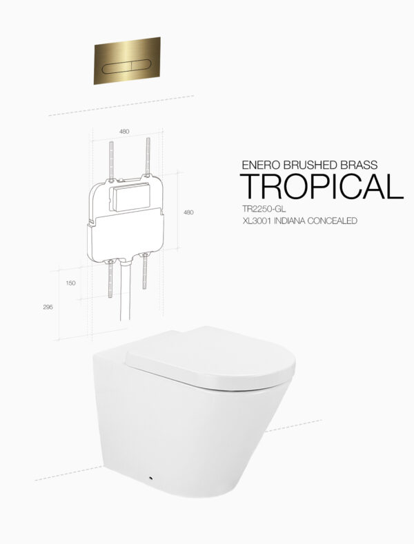 TROPICAL ENERO BRUSHED BRASS INDIANA