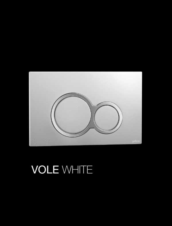 VOLE WHITE